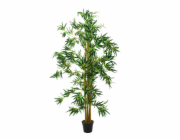 Bambus multi kmen 150 cm