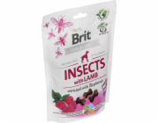 Brit Care Dog Insects&Lamb - Pamlsek pro psy - 200 g