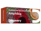 Příslušenství Discovery Prof Specimens DPS 5 „OBOJŽIVELNÍ...