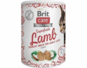 Brit Care Cat Snack Superfruits Lamb 100g pamlsky pro kočky