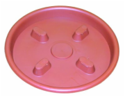 Podkvětník Clematis ter. ke květináči 20 cm