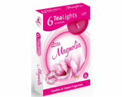 Svíčka čajová 6 ks Magnolia