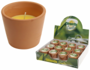 Svíčka proti hmyzu 7x6 cm v květináči citronella