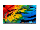Philips/65HFL6214U/12/65"/4K UHD/Gray