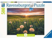 Puzzle 500 Meadow Elements