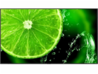 NEC 75" MultiSync E758 - IPS direct LED/3840x2160/4000:1/...