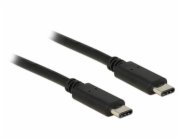 Delock - USB kabel - USB-C (M) do USB-C (M) - USB 2.0 - 50 cm - černá
