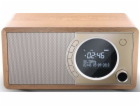 Radio DAB+ BT DR-450 (BR)