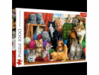 Puzzle 1000 dílků - Kočičí setkání