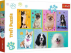 Puzzle 100 elementów W świecie piesków