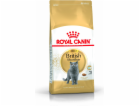 Royal Canin FBN British Shorthair Adult - dry cat food - ...
