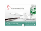 Hahnemühle Harmony Watercolour hot pressed  12 Sheets  30...