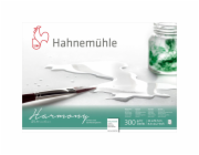 Hahnemühle Harmony Watercolour hot pressed  12 Sheets  300g  A4