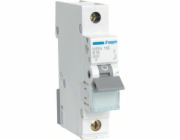 HAGER LS Switch 1P 16A-B 6KA 1LE / HAGER MBN116