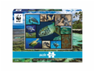 Ambassador Sea Turtles 1000 Pieces