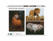 Ambassador Wildlife 3x1000 Pieces (Donal Boyd)