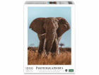 Ambassador African Elephant 1000 Pieces (Donal Boyd)