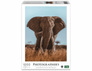 Ambassador African Elephant 1000 Pieces (Donal Boyd)