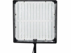 Amaran F22C