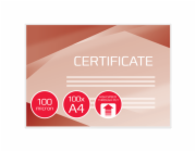 GBC Laminovací kapsy pro rychlou laminaci, 100 mic (100)