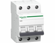 Elektrická hypertrofie Schneider