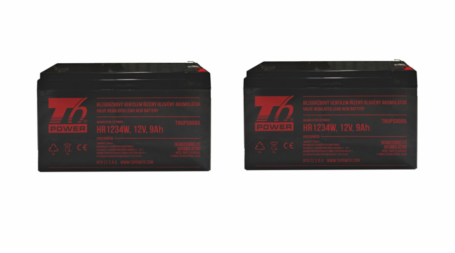 T6 Power T6APC0007 T6 Power RBC124, RBC142, RBC177 - battery KIT