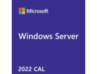 Win Server CAL 2022 (1 User)