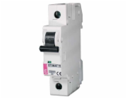 Eti-Polam Jistič ETIMAT10 1P C 16A 10kA AC - 002131716