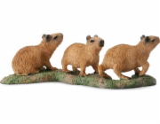 Figurka Collecta CAPIBARA YOUNG - CollectA - 88541 - S