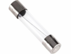LechPol Skleněná pojistková vložka 0,1A 20mm (BEZ2000-01CE)