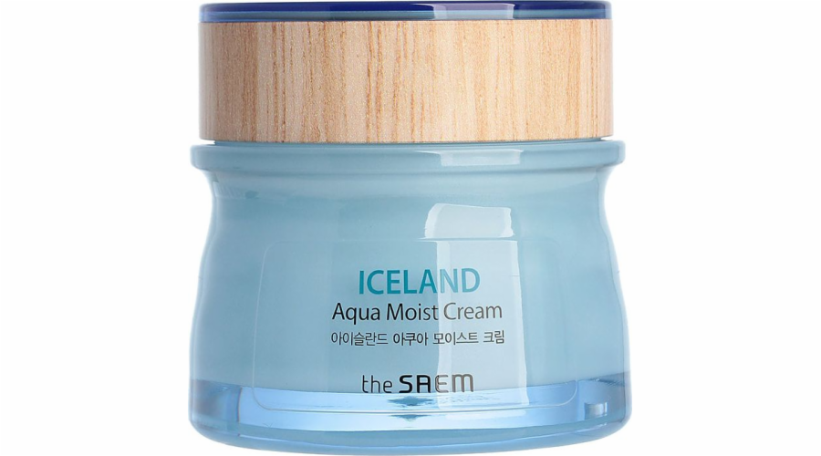 SAEM Iceland Aqua Moist Cream hydratační krém na obličej 60ml