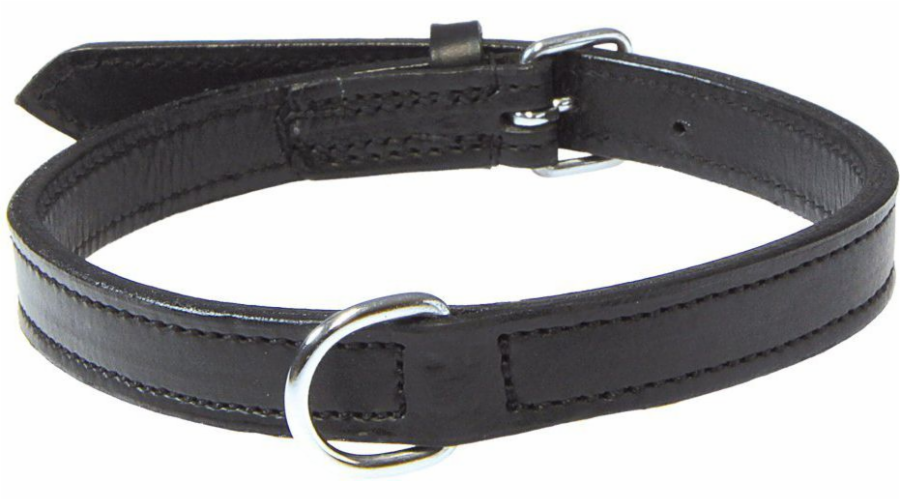 Trixie Collar Active(S), 31-37 cm/16 mm, černý