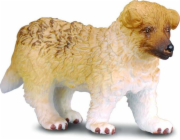 Figurka Collecta Psí plemena Scottish Shepherd Collie - štěně