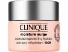Clinique CLINIQUE MOISTURE SURGE 100H AUTO-REPLENISHING H...