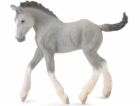 Collecta Figurine Gray Shire Foal (004-88575)