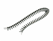 Dewalt Kovové šrouby na liště 3,5 x 35mm 1000 ks. (F4000350)