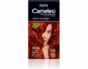 Šampon Delia Cosmetics Cameleo Coloring 66,56 planá švestka