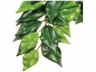 HAGEN EXOTERRA FICUS M. ROSTLINA