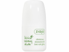 Deodorant Ziaja Leaves bez hliníkových solí 60ml