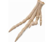Collecta figurka REPLIKA VELOCIRAPTOROVA KONČETINY - CollectA - 89285