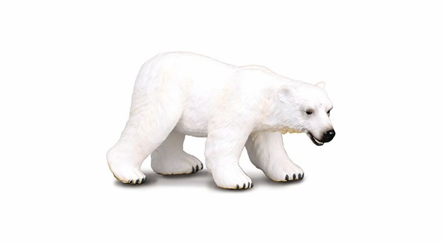 Soška ledního medvěda Collecta