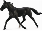 Figurka Collecta HORSE STANDARDBRED PACER STALLIN - ČERNÁ