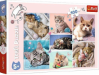 Trefl Puzzle 100 dílků V kočičím světě