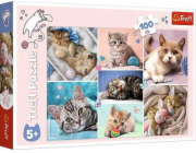 Trefl Puzzle 100 dílků V kočičím světě