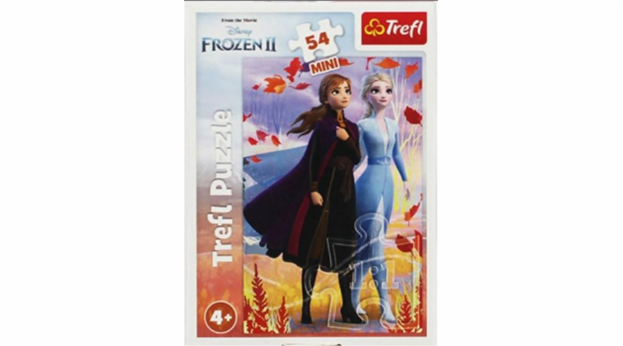 Trefl Puzzle 54 mini Ve světě Anny a Elsy 2