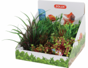 Zolux ZOLUX Plant Display M 6 ks - sada A