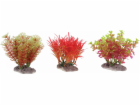 Zolux ZOLUX Plant Display S 6 ks - sada A