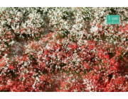 MiniNatur: Trs - Letní kvetoucí vegetace 2 (42x15 cm)