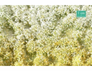 MiniNatur: Trs - Jarní kvetoucí vegetace 1 (15x4 cm)