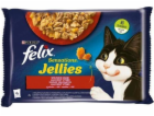 Felix Sensations - beef with tomato and